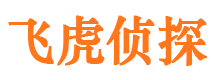 黄陵侦探公司